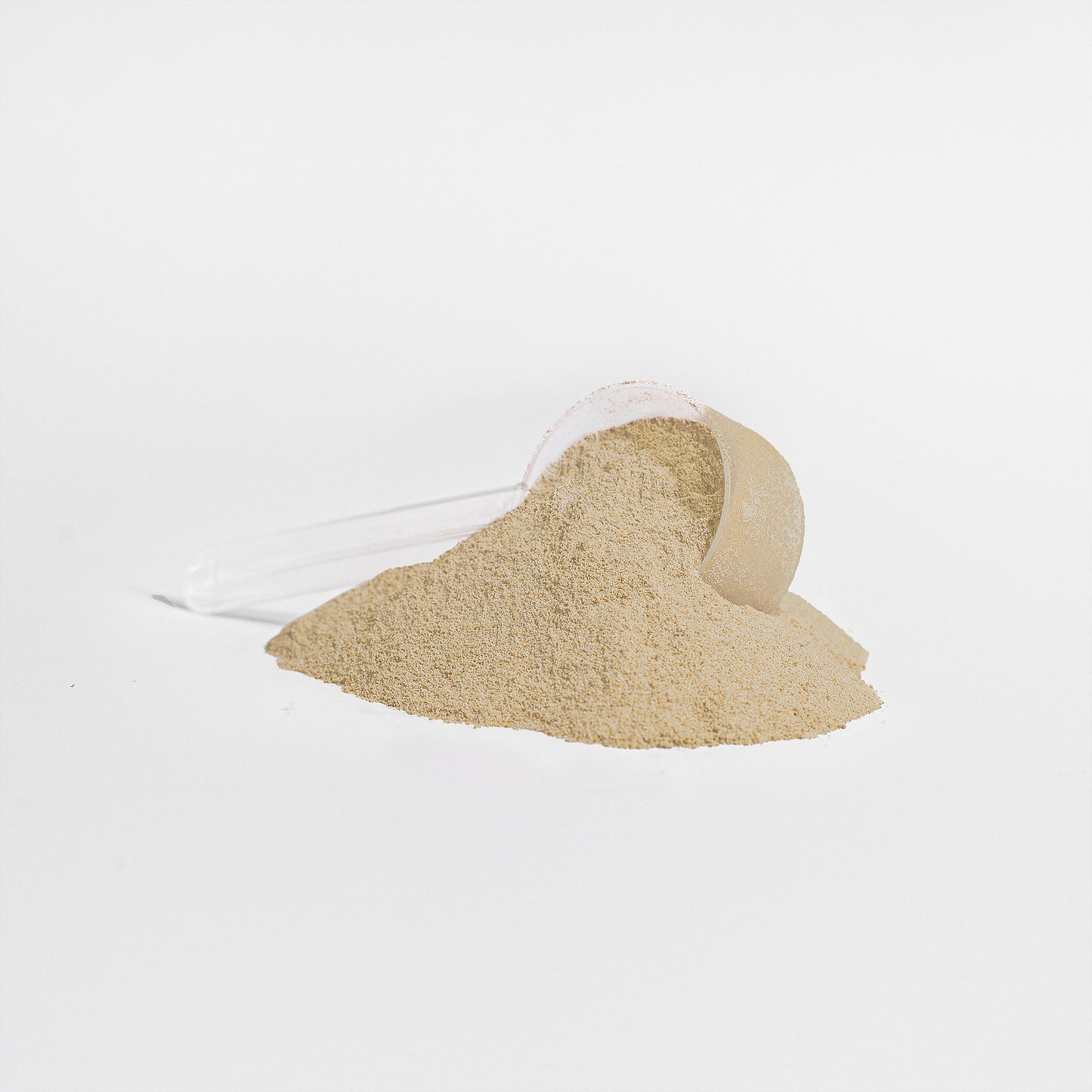 The Spartan Vegan - Plant Protein (Vanilla)
